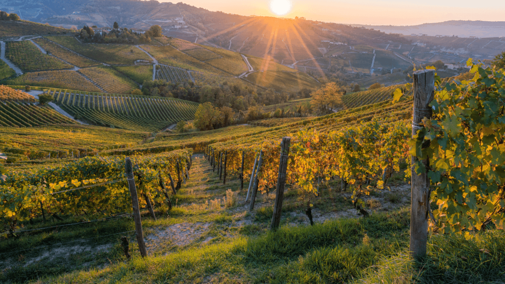Italy-Countryside-2